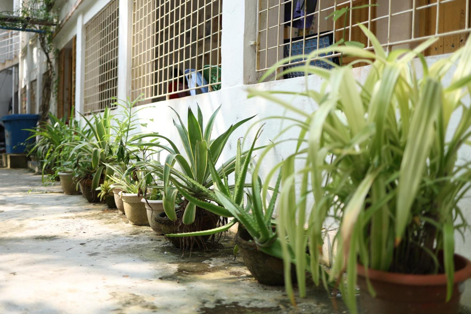 Hotel Kriya Yoga Wellness Dhablat Exterior foto